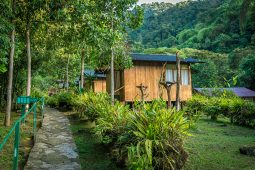 Visit the Manu Road with InkaNatura Travel