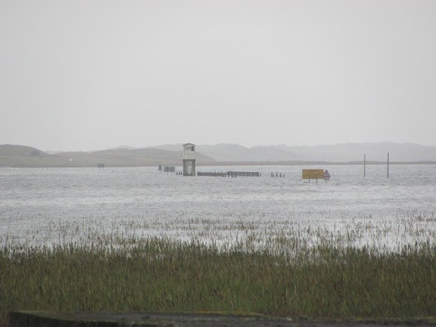 Causeway Tide Chart