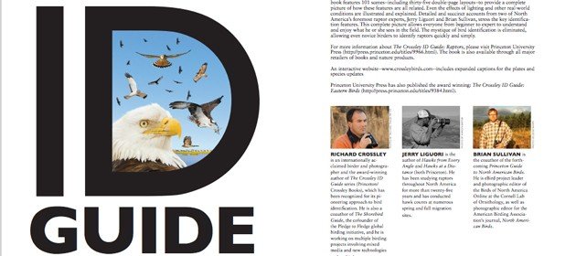 10000 Birds The Crossley ID Guide Raptors