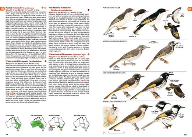 Australian Bird Identification Chart