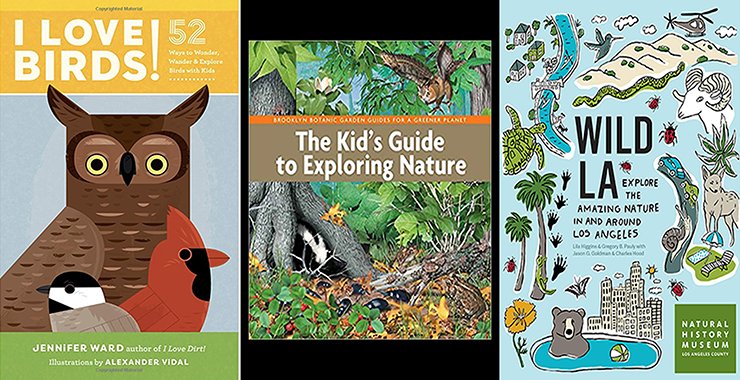 Opdater Paradis forhandler A Stick! A Bird! A Tree!–Books on Nature for Parents & Kids – 10,000 Birds