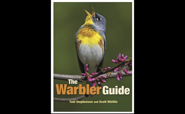 Warbler Identification Chart