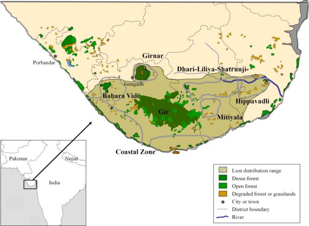Animalstuffstore 1-s2.0-S0006320711000577-gr1-630x460 Birding Gir Nationwide Park, India – 10,000 Birds Bird  