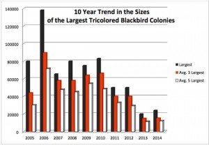Tricolored Blackbird 10 Year Trend
