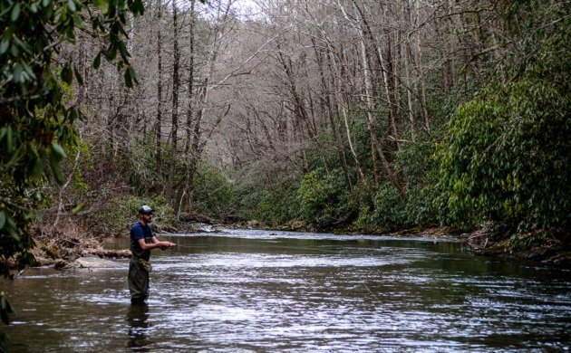 fishing, birding, pisgah, forest, north carolina