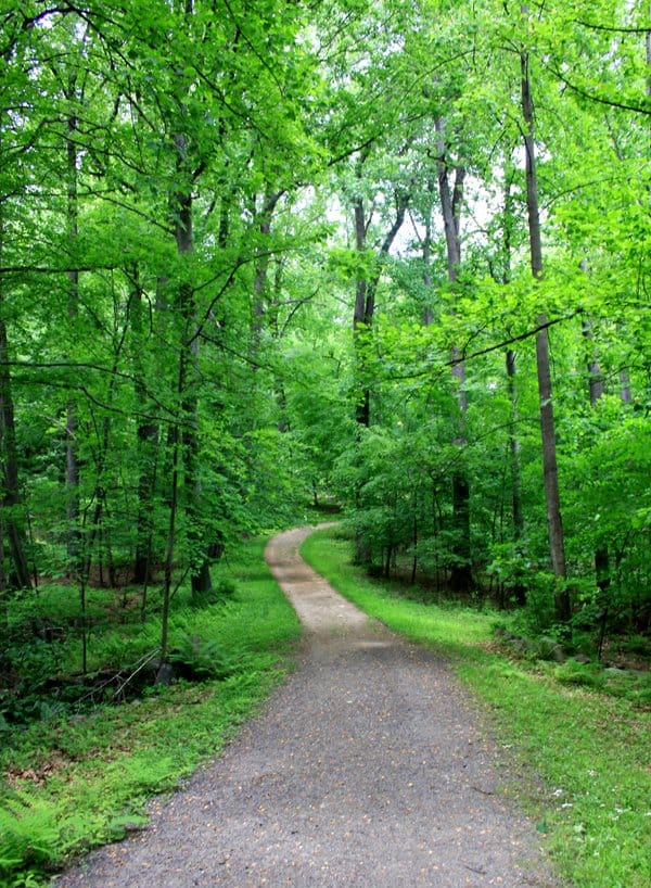 Birding Rockefeller State Park Preserve - 10,000 Birds