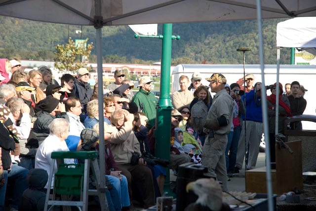 The Extreme Raptor Weekend Round-Up – 10,000 Birds