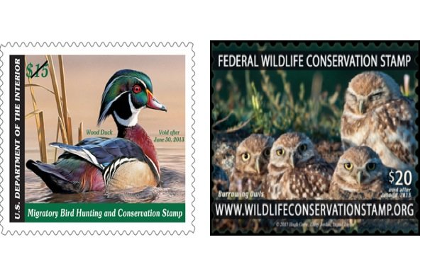 Duck Stamp and Theoretical Wildlife Stamp