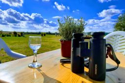 Fantastic Birds and Where to Find Them in Serbia