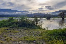 Rancho Naturalista Lodge, Costa Rica, or in the Land of Coffee and Chocolate