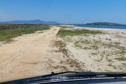 Birding Porto Lagos Lagoons, Greece, or the snake-cold Vergina lager