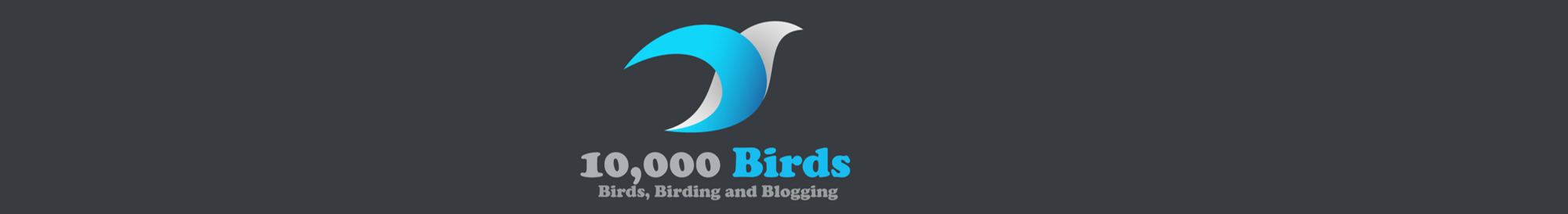 10,000 Birds - Birds, Birding and Blogging