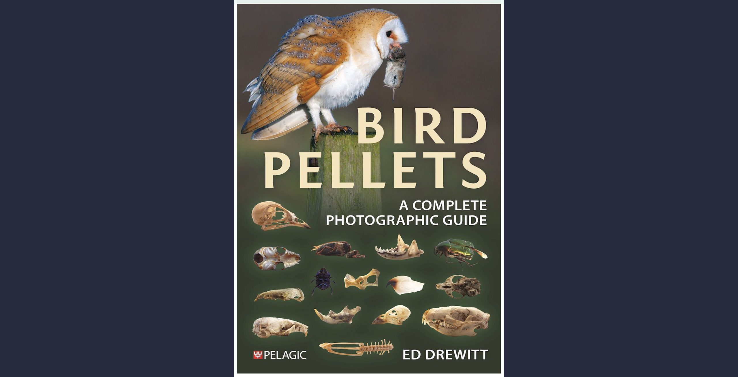 Hen Pellets: A Entire Photographic Information–A Ebook Evaluation