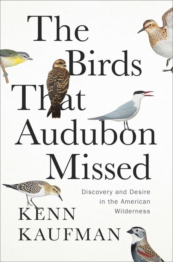 Our Favorite Bird Books of 2024 - 10,000 Birds