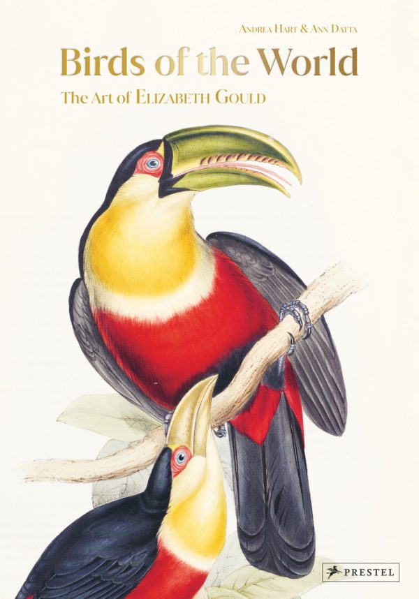 Our Favorite Bird Books of 2024 - 10,000 Birds