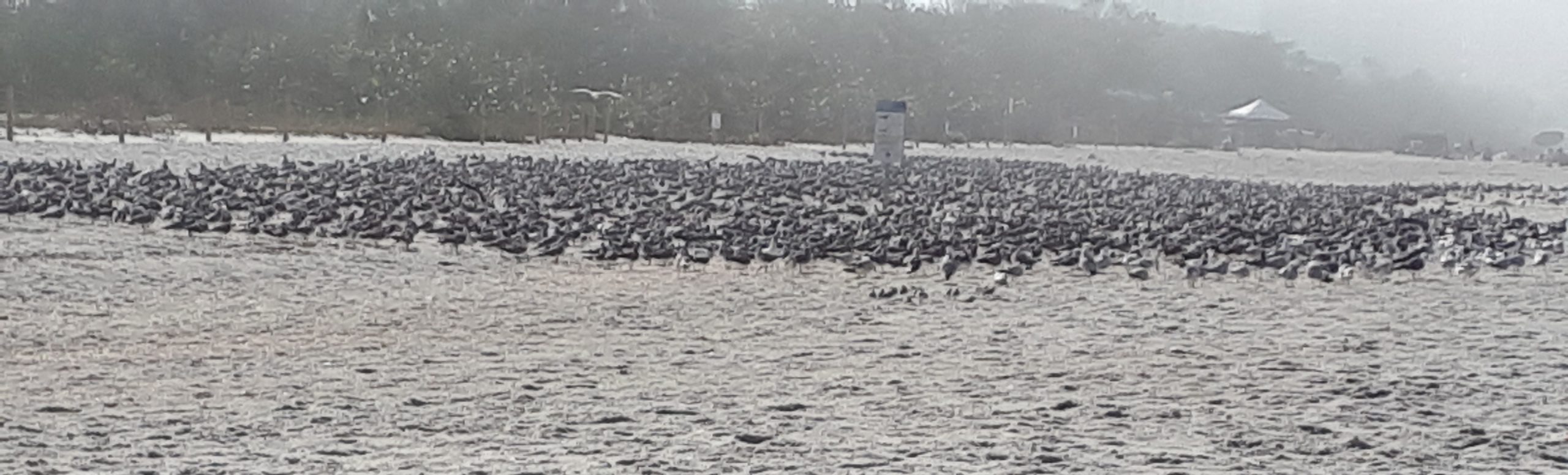 The Beach Life at Clam Pass