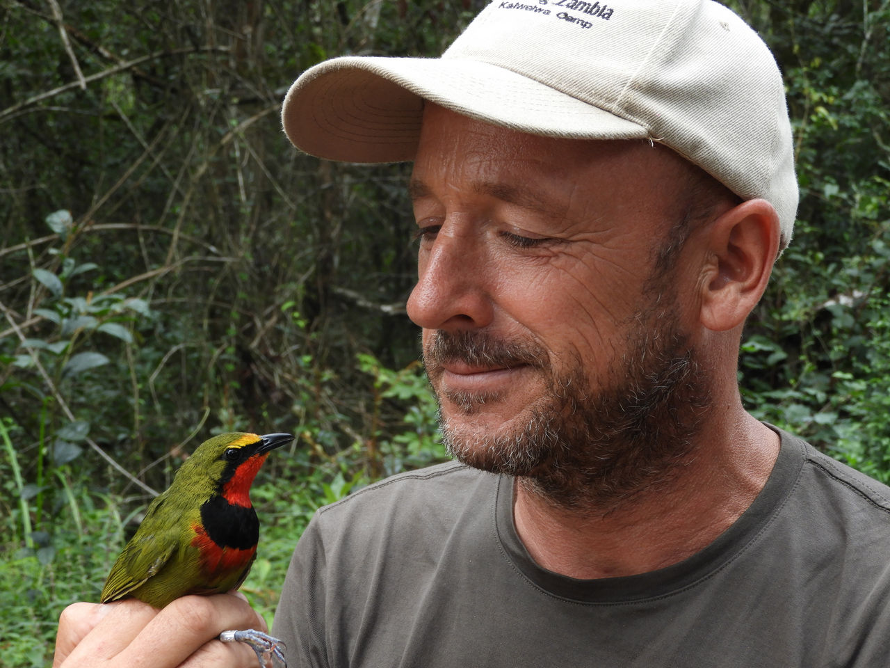 Bird Guides of the World: Frank Willems, Zambia