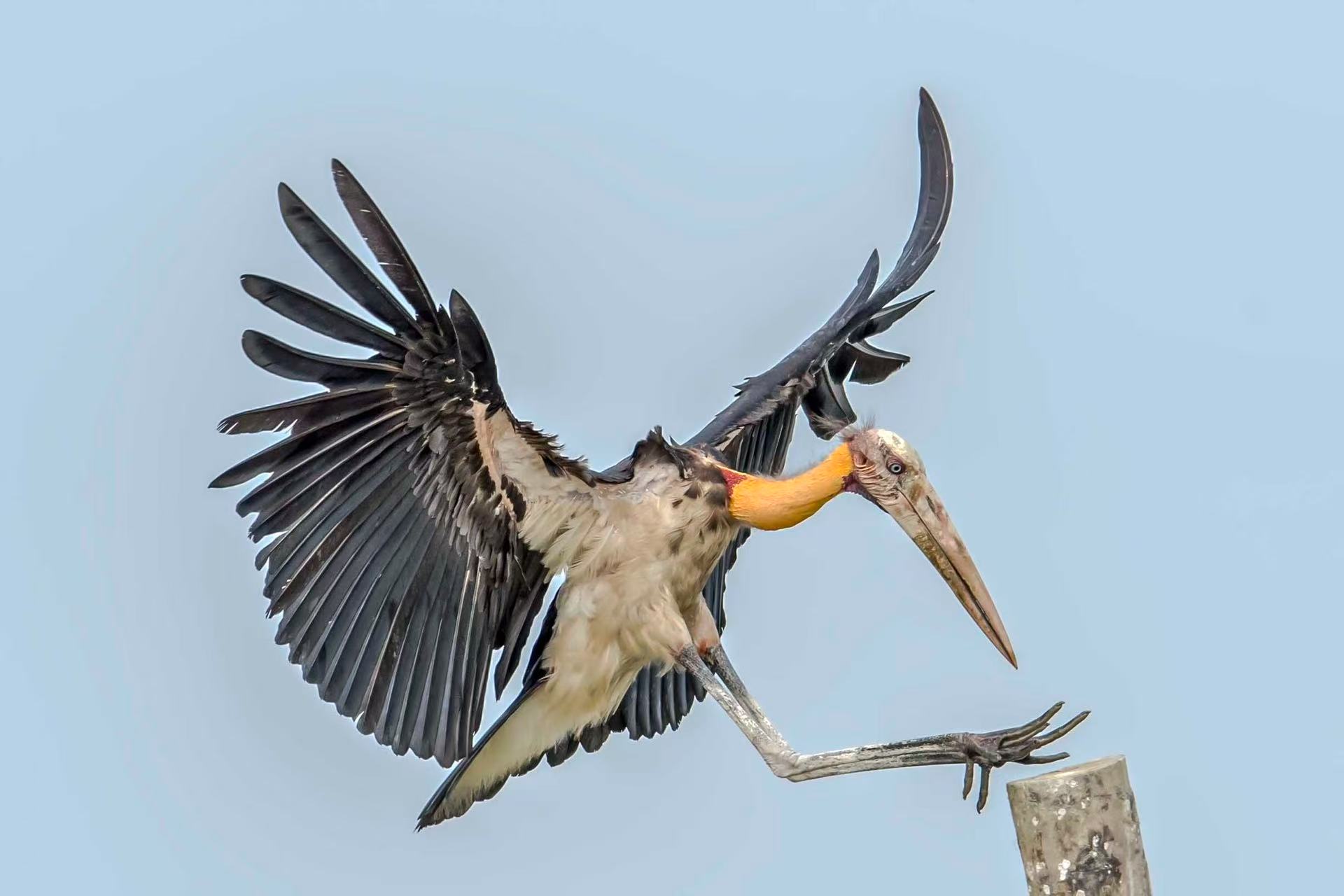 Three Photos: Takeoffs and Landings