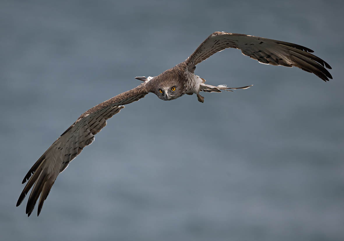 Fighting the bad weather