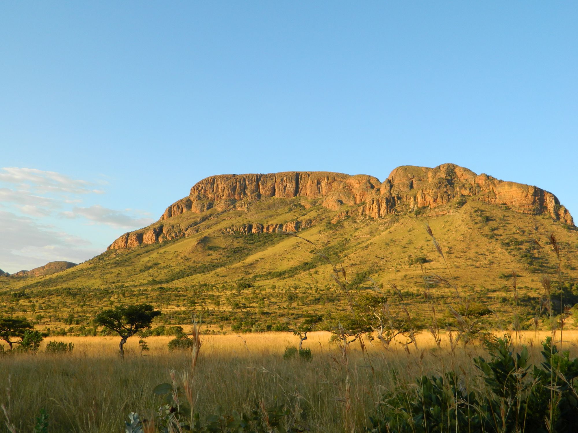 Birding in Marakele National Park