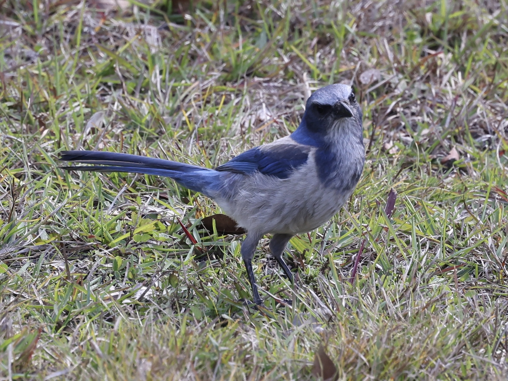 Time for a Road Trip