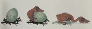 Illustration of a crow hatching from an egg
