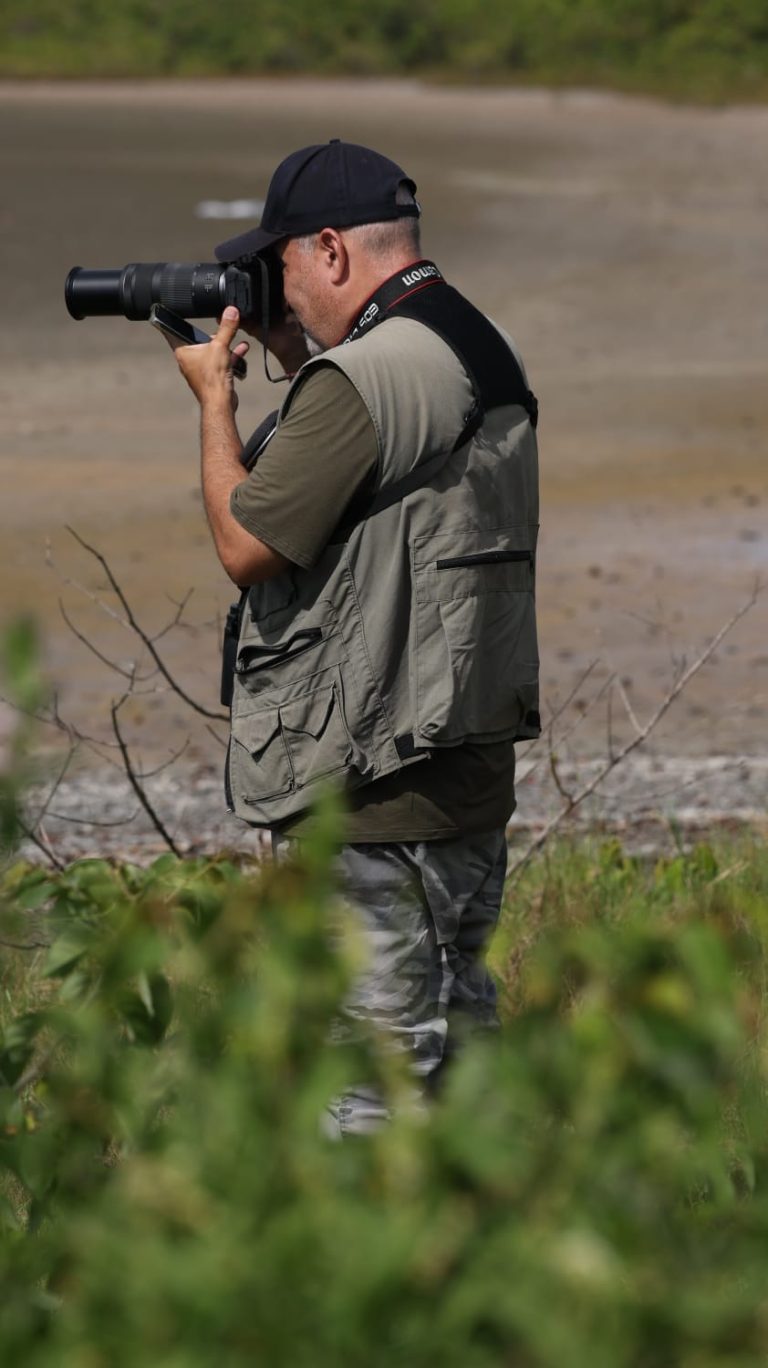Bird Guides of the World: Francisco Falcon, Brazil - 10,000 Birds