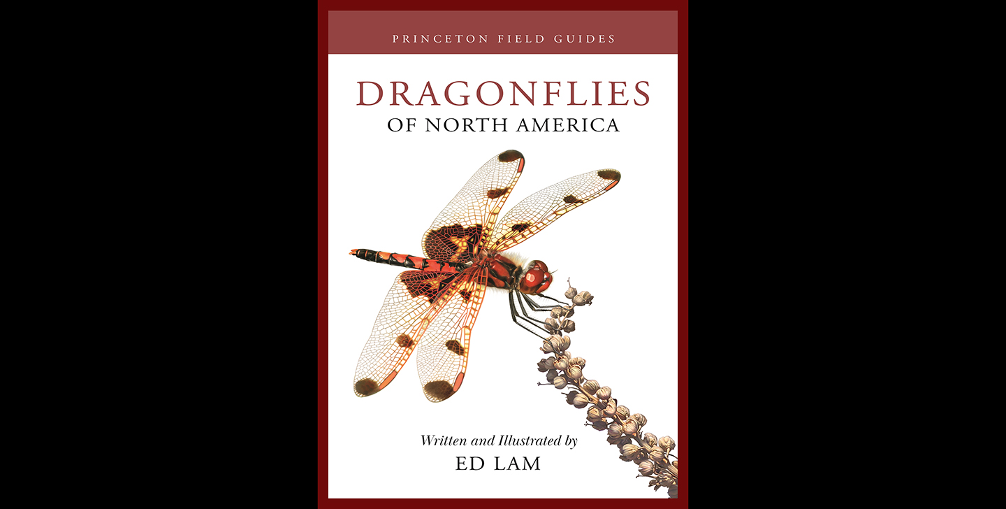 lam.cover_.1440.jpg