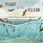 Book cover of PLIGHT OF THE PELICAN, with the title and brown pelicans flying, diving, and feeding on fish under the water