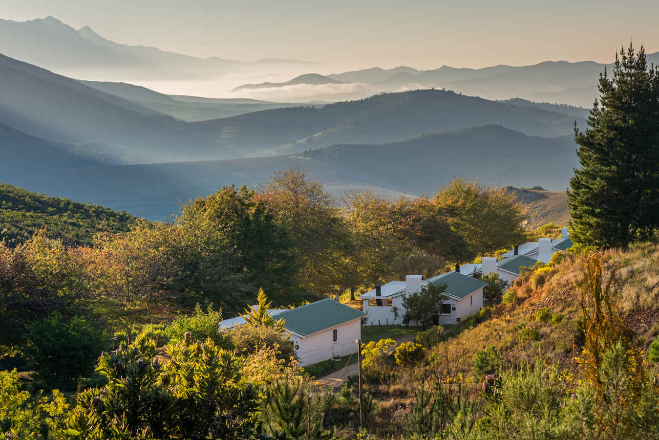Birding Lodges of the World: Rusty Gate Mountain Retreat, South Africa