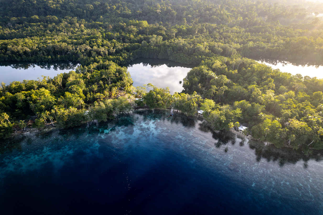 Birding Lodges of the World: Leleana Resort Kolombangara, Solomon Islands
