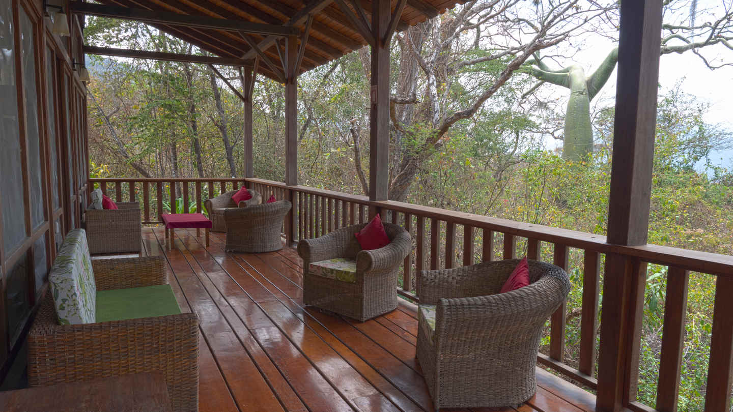 Birding Lodges of the World: Urraca Lodge – Reserva Jorupe, Ecuador