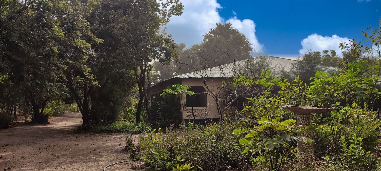 Birding Lodges Of The World: Kurumbo Lodge, Gambia - 10,000 Birds