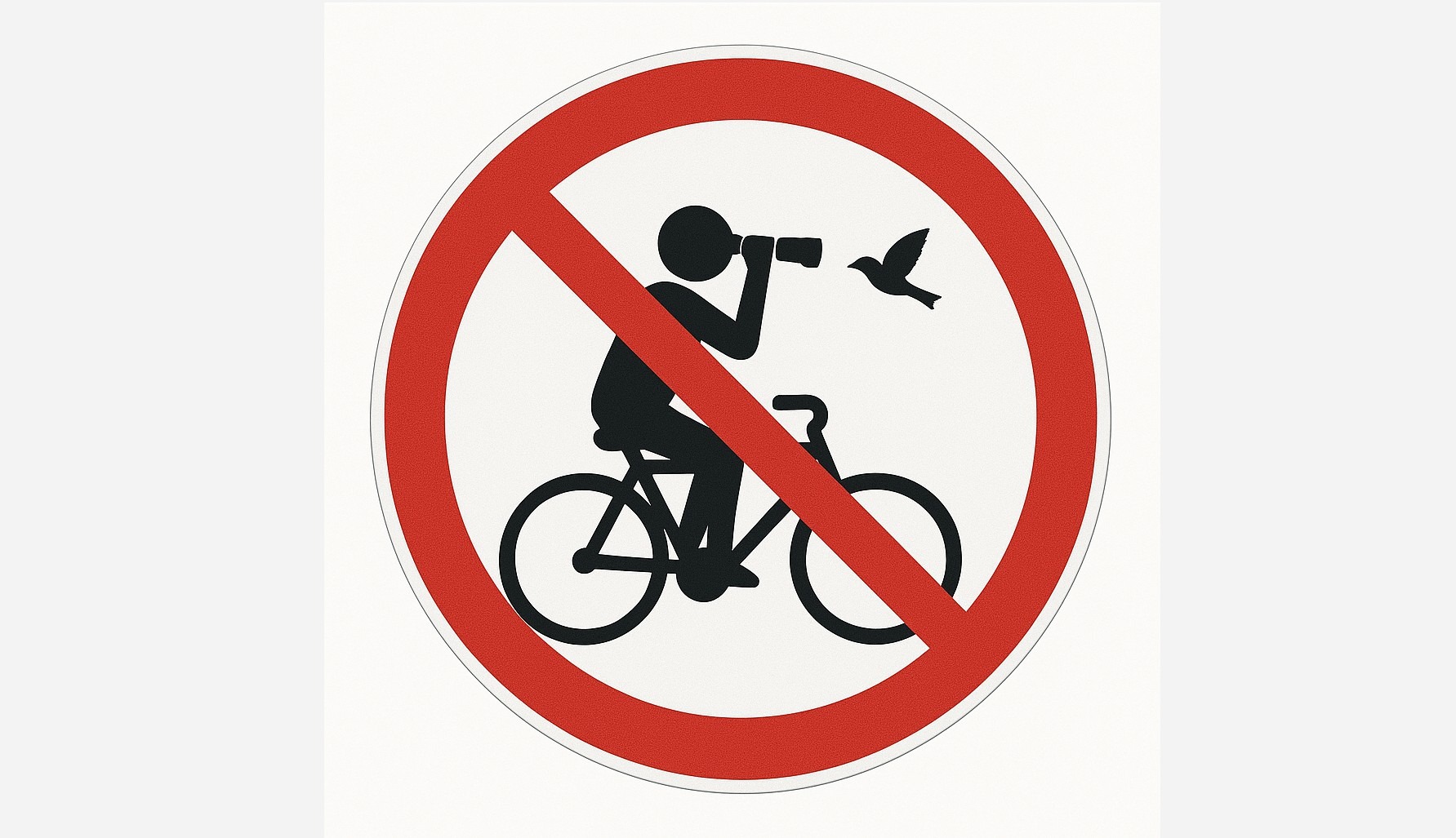 Don’t Bird and Bike