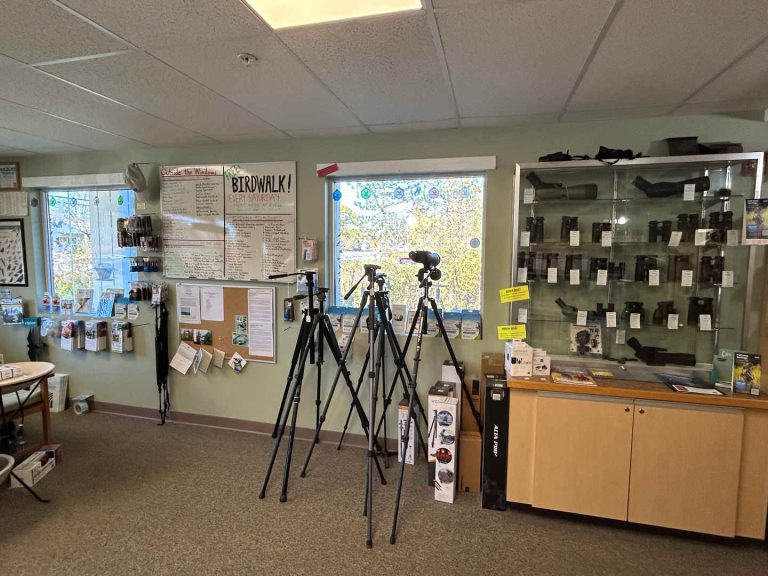 Interview with Derek Lovitch, Bird Book Author, Bird Guide and Bird ...