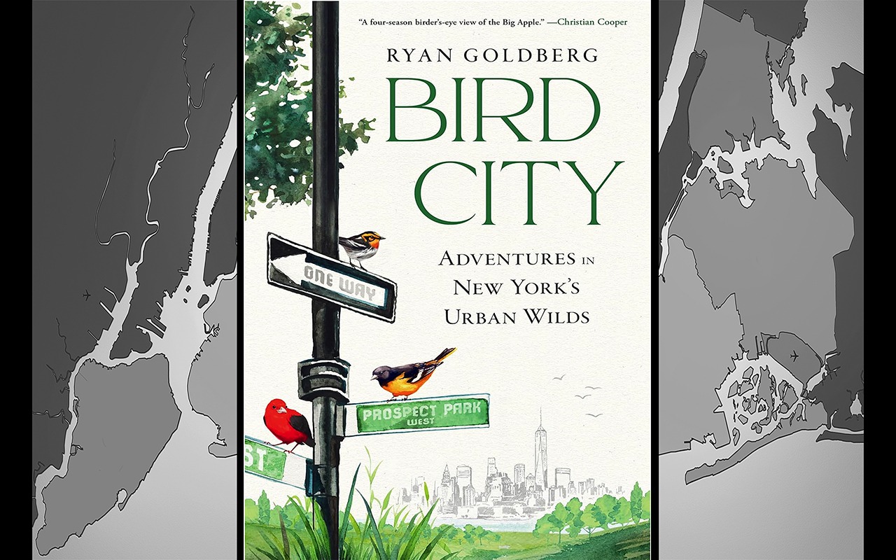 Bird City–An Author Interview