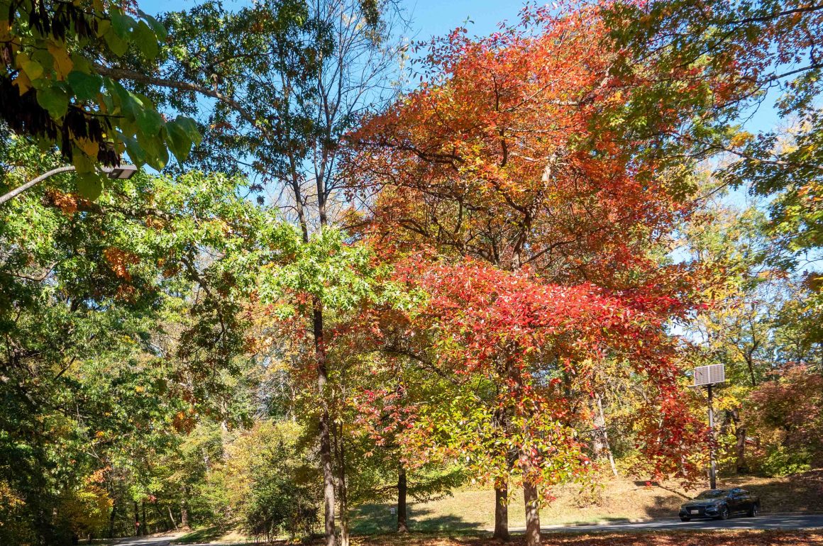 Parking lot, Rock Creek