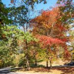 Parking lot, Rock Creek