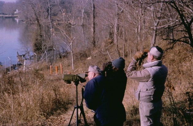 Join a Christmas Bird Count