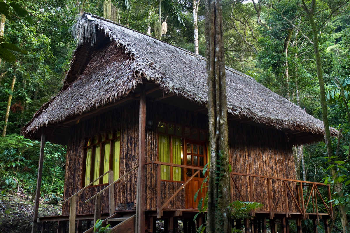 Birding Lodges of the World: Sadiri Lodge, Bolivia