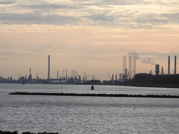 Industrial Birding At Its Best