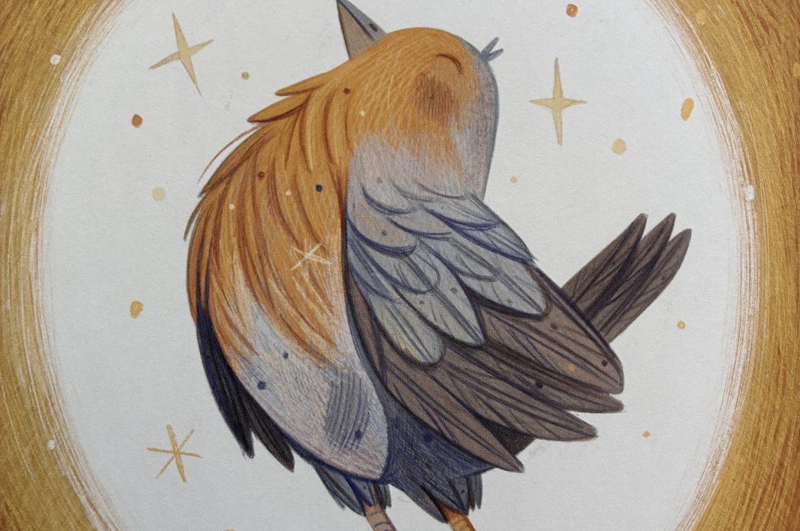 An illustration of a robin under the Christmas star.