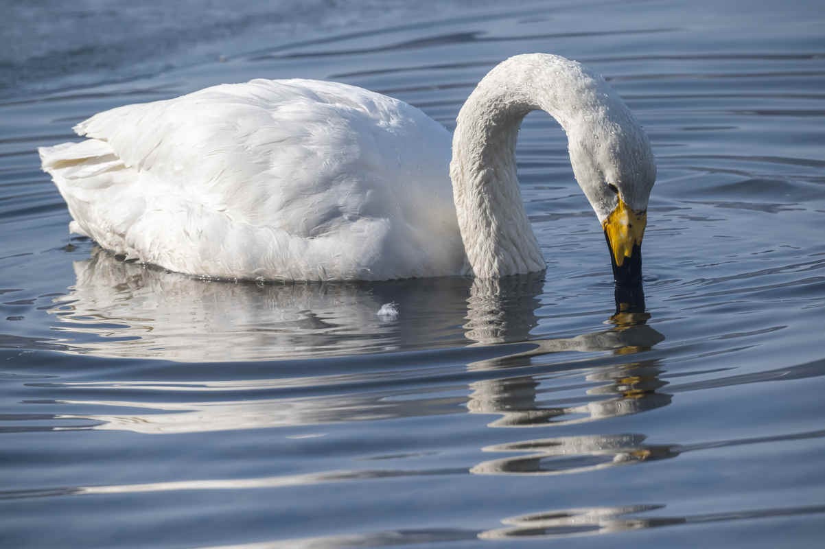 Ask a Bird Guide: What’s the most surprising or memorable reaction you’ve seen from a guest while birding?