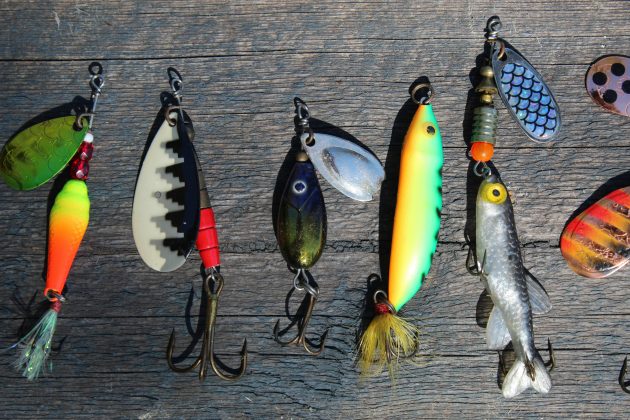 Fishermen, What to do if You Hook a Bird