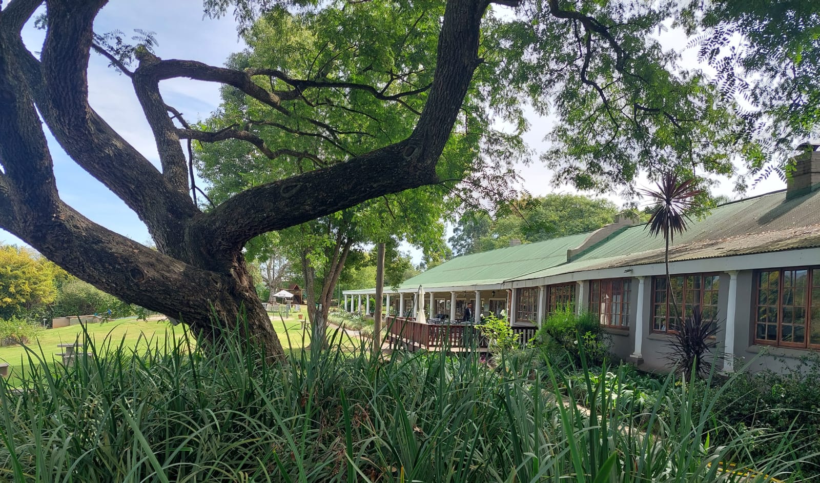 Birding Lodges of the World: The Nest, South Africa