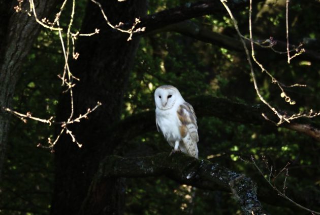 Musings on a lifelist