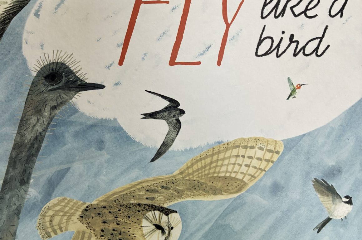 Cover detail of Olga Ptashnik's FLY LIKE A BIRD, with a Chickadee, Owl, Ostrich, Swift and Hummingbird against a blue sky