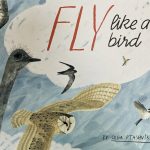 Cover detail of Olga Ptashnik's FLY LIKE A BIRD, with a Chickadee, Owl, Ostrich, Swift and Hummingbird against a blue sky