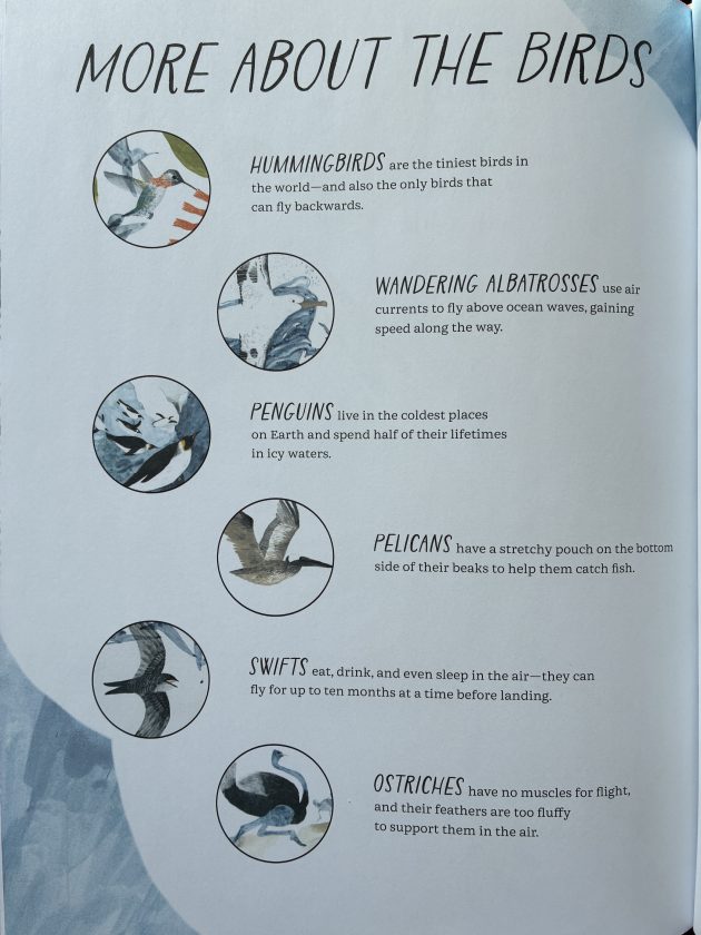 Six birds (Hummingbird, Wandering Albatross, Penguins, Pelicans, Swifts and Ostriches) featured in circular illustration bubbles with text with more details about each of the birds. 