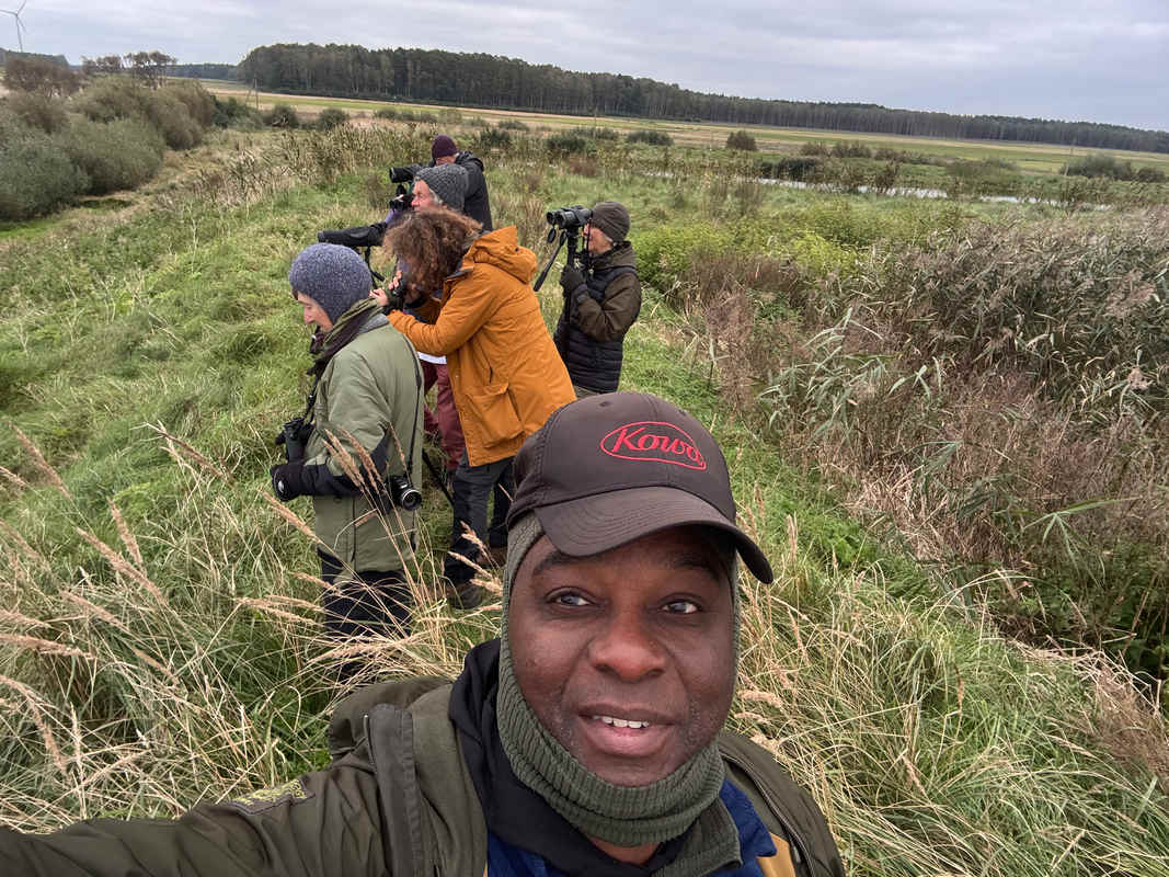 Bird Guides of the World: David Lindo (The Urban Birder), Spain